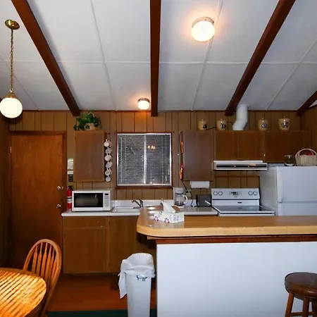 Cozy Bear Cabin-2